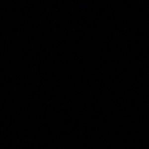 Meet your Posher, Brynlee